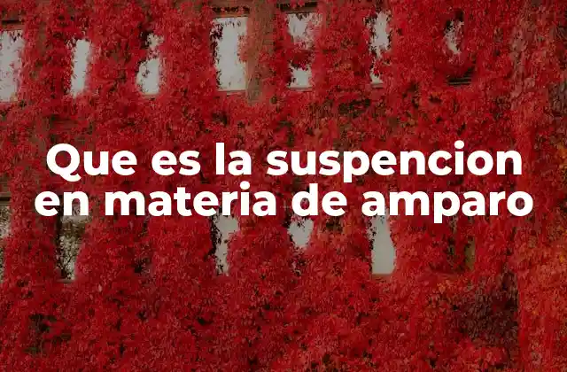 Que es la Suspencion en Materia de Amparo