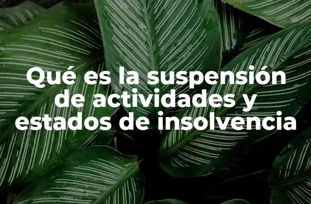 Qué es la Suspensión de Actividades y Estados de Insolvencia