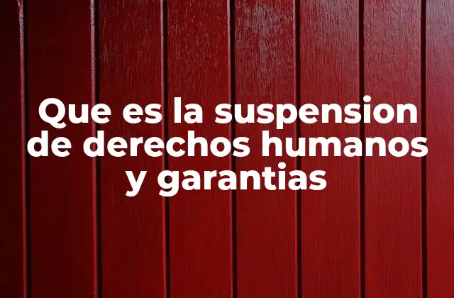 Que es la Suspension de Derechos Humanos y Garantias