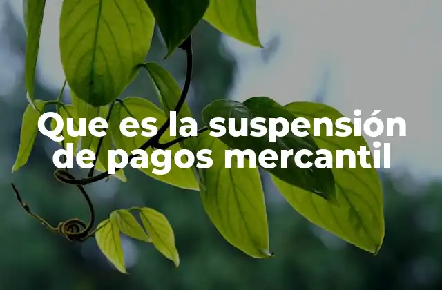Que es la Suspensión de Pagos Mercantil