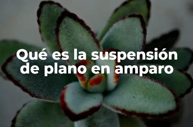 Qué es la Suspensión de Plano en Amparo