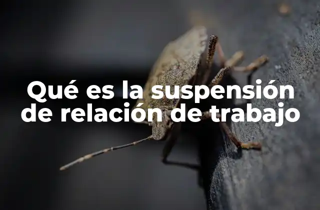 Qué es la Suspensión de Relación de Trabajo