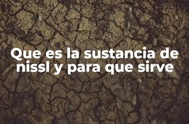 Que es la Sustancia de Nissl y para que Sirve