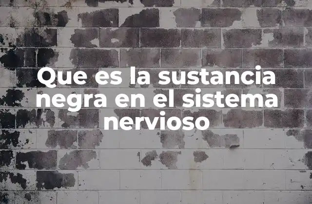 Que es la Sustancia Negra en el Sistema Nervioso