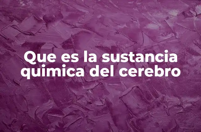 Que es la Sustancia Quimica Del Cerebro 2 Cómo las sustancias del cerebro afectan nuestro comportamiento
