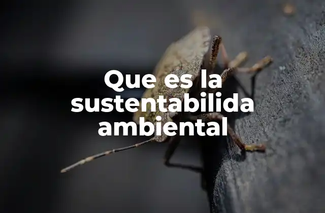 Que es la Sustentabilida Ambiental