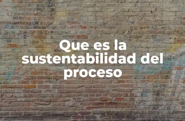 Que es la Sustentabilidad Del Proceso