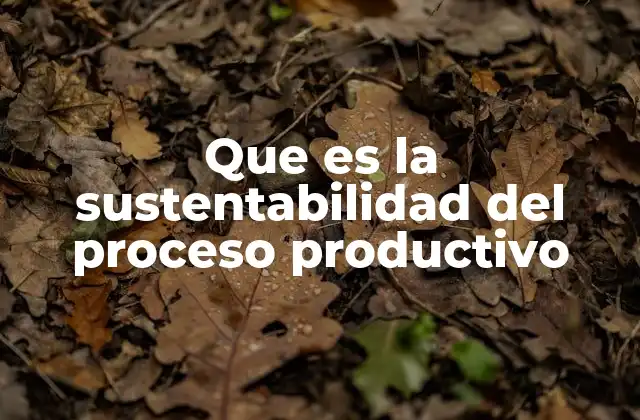 Que es la Sustentabilidad Del Proceso Productivo