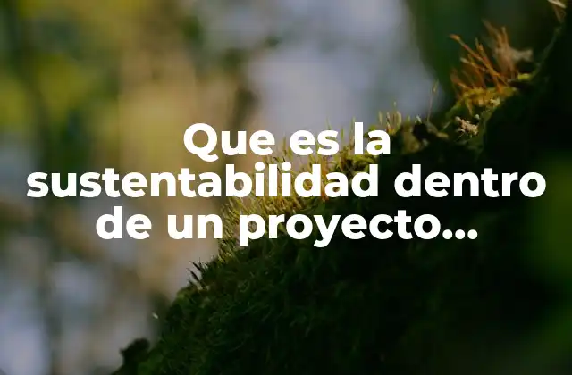 Que es la Sustentabilidad Dentro de un Proyecto Tecnologico