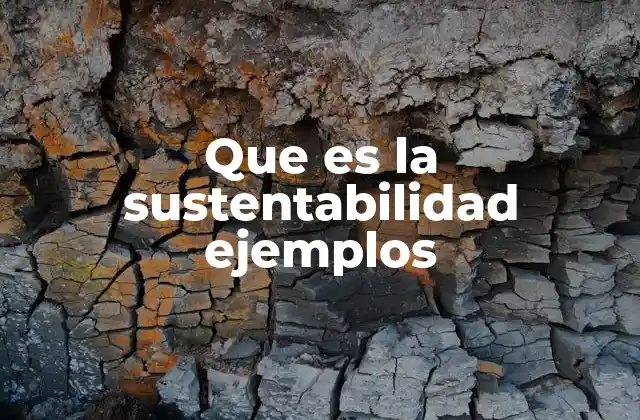 La importancia del equilibrio ecológico en el desarrollo