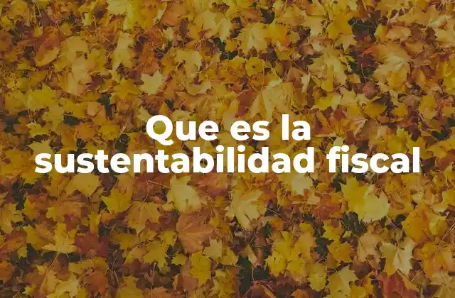 Que es la Sustentabilidad Fiscal 2 La importancia de mantener equilibrios en la gestión pública