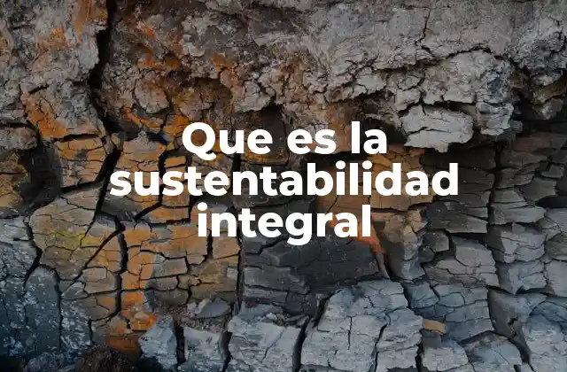 Que es la Sustentabilidad Integral