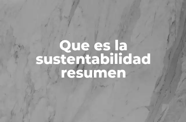 Que es la Sustentabilidad Resumen