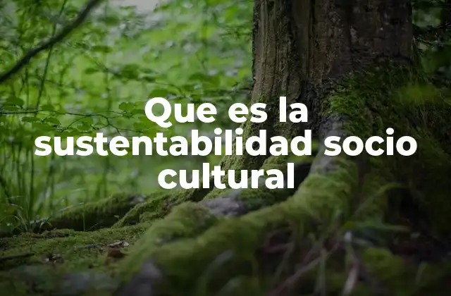 Que es la Sustentabilidad Socio Cultural