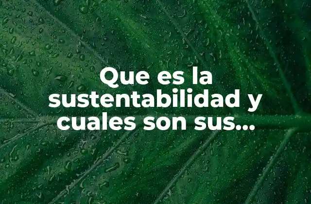 Que es la Sustentabilidad y Cuales Son Sus Caracteristicas