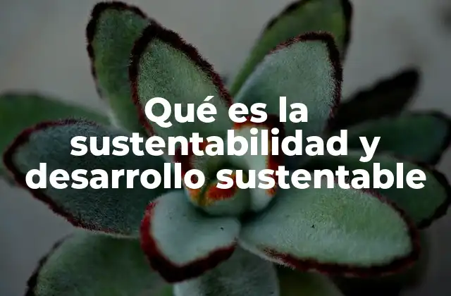 Qué es la Sustentabilidad y Desarrollo Sustentable