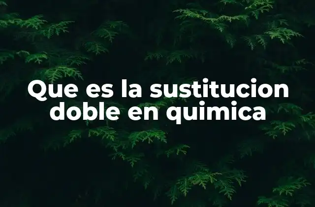 Que es la Sustitucion Doble en Quimica