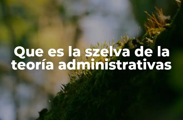 Que es la Szelva de la Teoría Administrativas