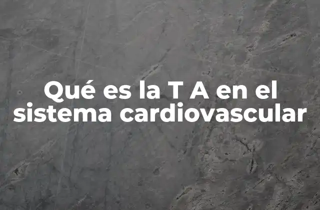 Qué es la T a en el Sistema Cardiovascular 2 Factores que influyen en la TA