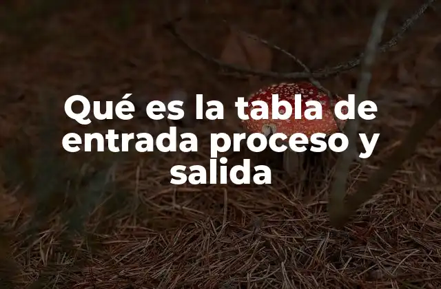 Qué es la Tabla de Entrada Proceso y Salida