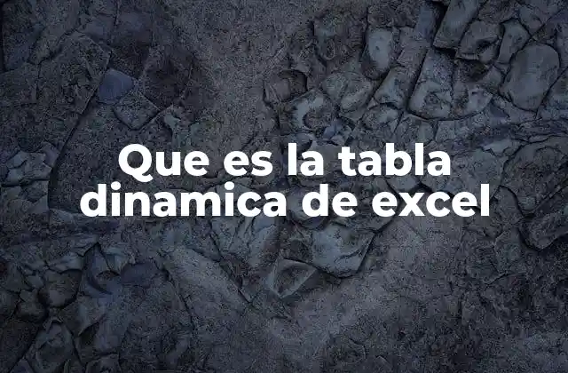 Que es la Tabla Dinamica de Excel