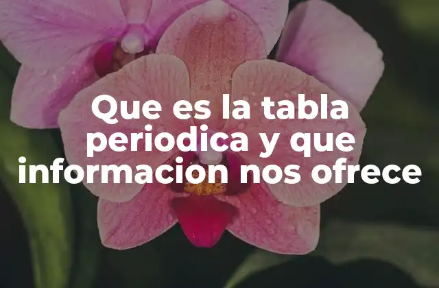 Que es la Tabla Periodica y que Informacion Nos Ofrece 2 La organización del conocimiento químico a través de una herramienta visual