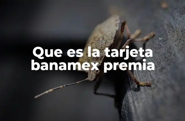 Que es la Tarjeta Banamex Premia