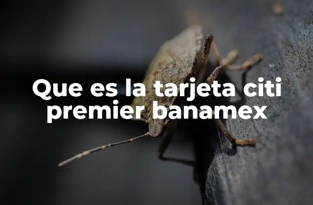 Que es la Tarjeta Citi Premier Banamex