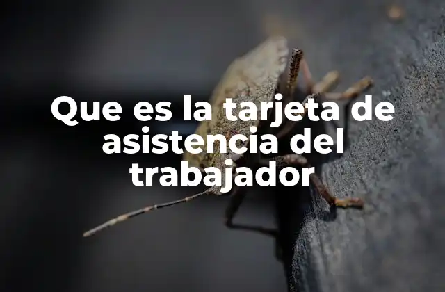 Que es la Tarjeta de Asistencia Del Trabajador