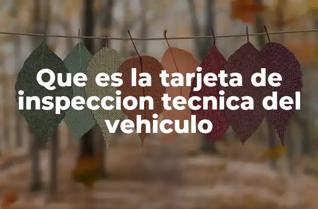 Que es la Tarjeta de Inspeccion Tecnica Del Vehiculo