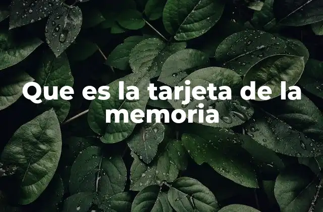 Que es la Tarjeta de la Memoria