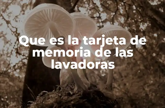 Que es la Tarjeta de Memoria de las Lavadoras