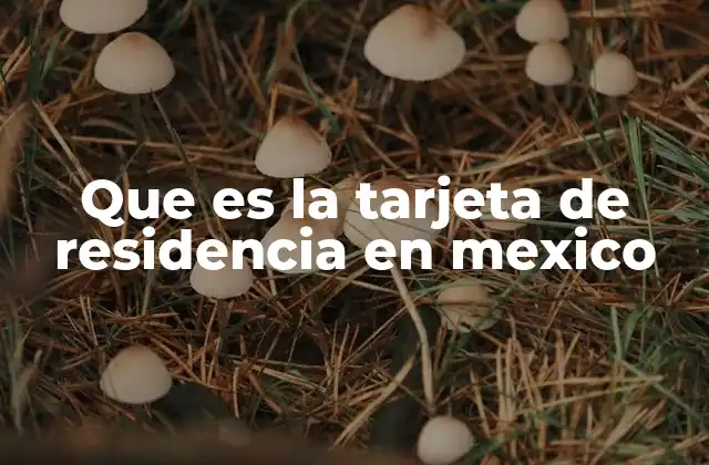 Que es la Tarjeta de Residencia en Mexico