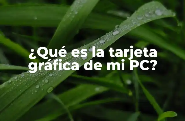 ¿qué es la Tarjeta Gráfica de Mi Pc?