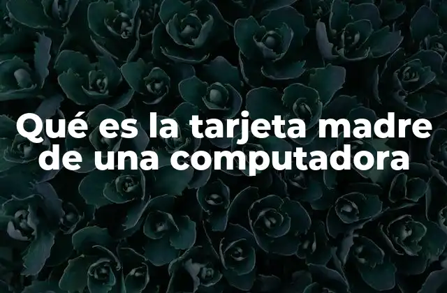 Qué es la Tarjeta Madre de una Computadora
