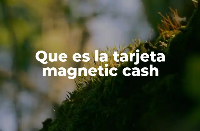 Que es la Tarjeta Magnetic Cash