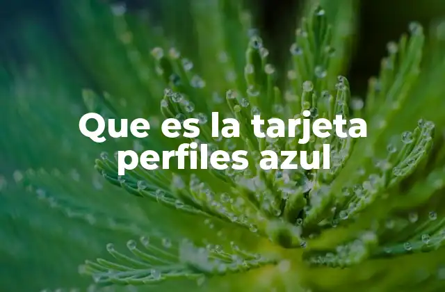 Que es la Tarjeta Perfiles Azul