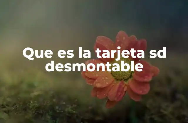 Que es la Tarjeta Sd Desmontable