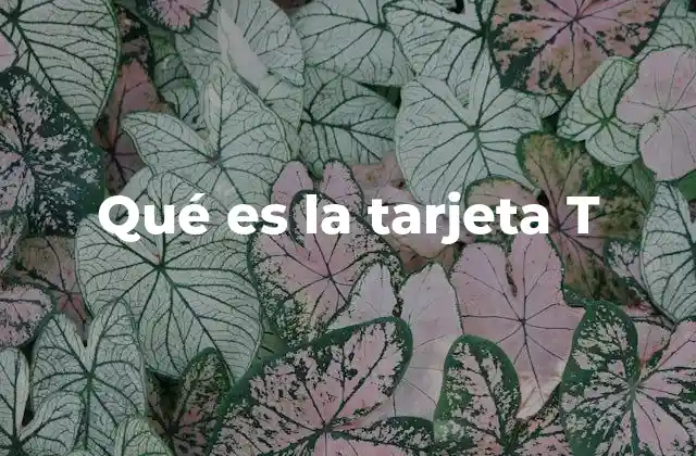 Qué es la Tarjeta T