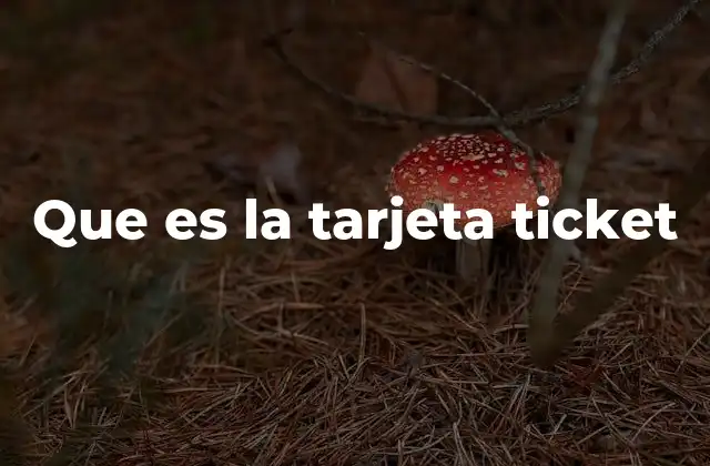 Que es la Tarjeta Ticket