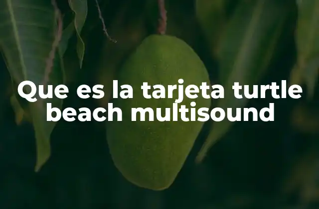 Que es la Tarjeta Turtle Beach Multisound