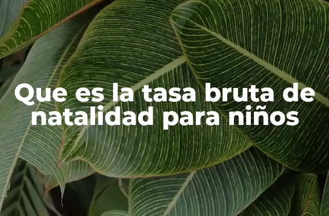 Que es la Tasa Bruta de Natalidad para Niños