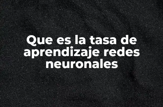 Que es la Tasa de Aprendizaje Redes Neuronales