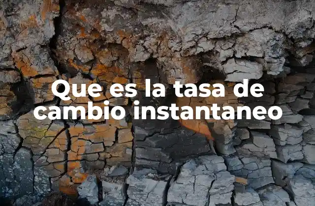 Que es la Tasa de Cambio Instantaneo