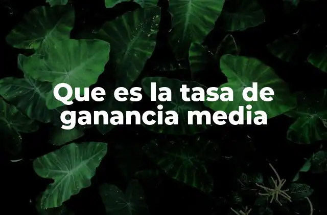 Que es la Tasa de Ganancia Media