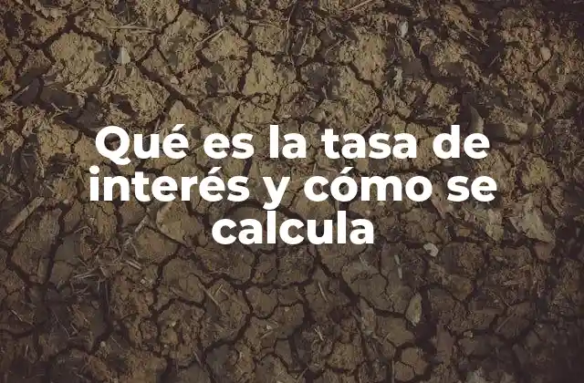 Qué es la Tasa de Interés y Cómo Se Calcula