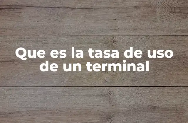 Que es la Tasa de Uso de un Terminal