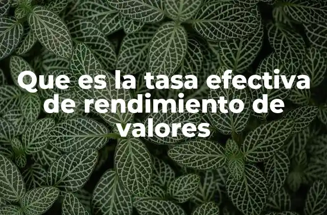 Que es la Tasa Efectiva de Rendimiento de Valores