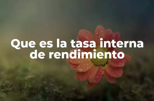 Que es la Tasa Interna de Rendimiento