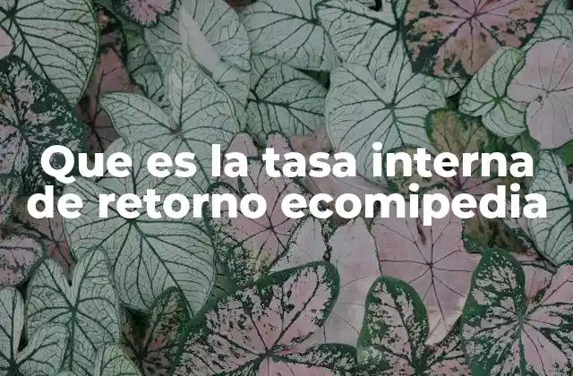 Que es la Tasa Interna de Retorno Ecomipedia